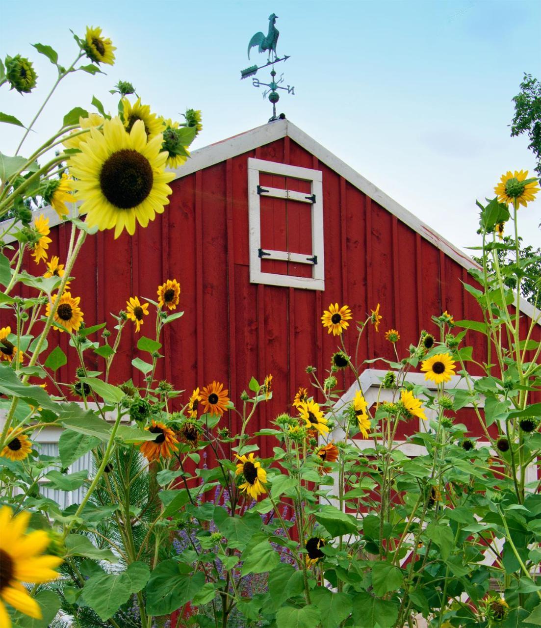 Sunflower Hill Inn Moab Bagian luar foto