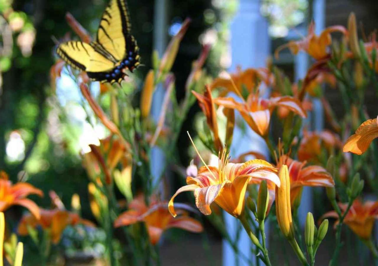 Sunflower Hill Inn Moab Bagian luar foto